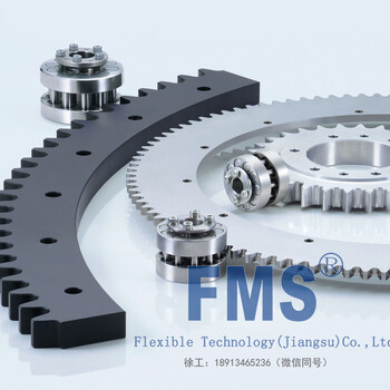 河北张家口FMS—弗迈斯供应—滚轮&分段齿圈（RGD型）