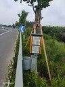 立達(dá)通霧天公路誘導(dǎo)燈太陽能供電放心省心