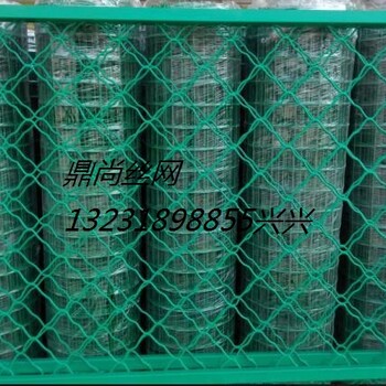 安平縣鼎尚金屬絲網生產荷蘭網