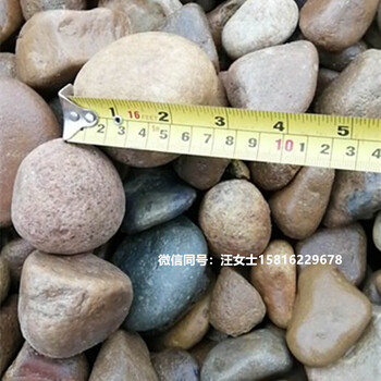 鹅卵石的堆积密度广东自然鹅卵石原产地天然鹅卵石密度