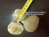 惠州天然鹅卵石批发建筑铺路鹅卵石惠城区铺路小石子