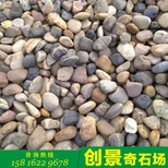 广东鹅卵石批发揭阳鹅卵石产地广东鹅卵石基地鹅卵石厂家图片3