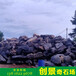 贵州园林常用石材六盘水景观黑太湖石贵州打磨黑山石