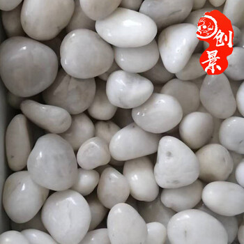 广东打磨白色鹅卵石广州精美白色鹅卵石白色鹅卵石批发