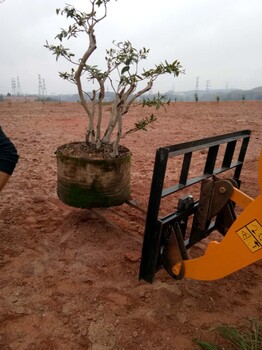 装载机铲车抓草爪子铲车抓铁抓木头夹子鲁工明宇光伏叉叉砖叉子