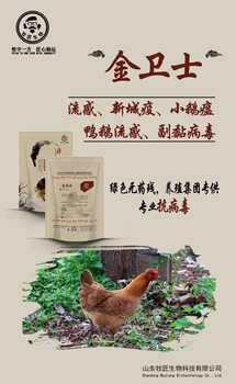 教你怎么快速治疗鸭瘟鸭子的副黏病防治