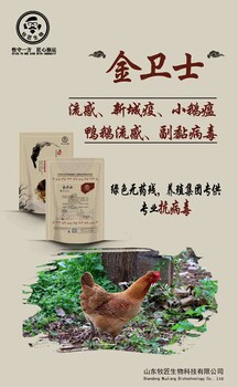 鹅流感用金卫士治疗又快又好