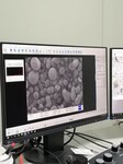 蔡司Gemin 300高分辨形貌观察,济宁高分辨率扫描电子显微镜