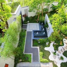 广州绿植租赁/绿植租摆/室内盆栽租赁/办公室绿植