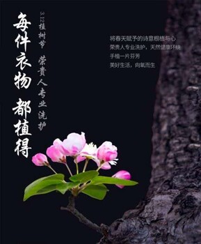 看這里！正確使用榮貴人洗衣液的方法新鮮出爐代理