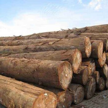 从广州进口木材走哪个港口清关合适