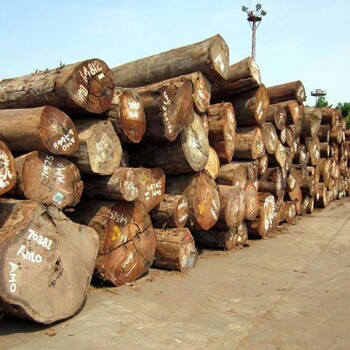 马来西亚木材进口深圳清关如何操作流程费用
