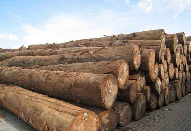 提供木材进口报关商检熏蒸服务