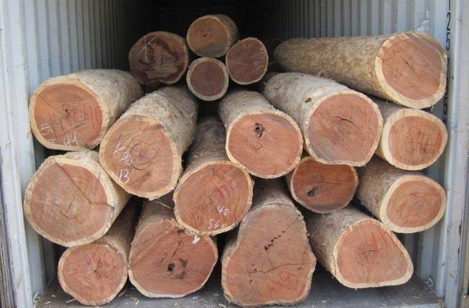 进口新加坡木材木制品清关流程手续