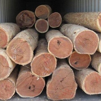 初次进口新加坡木材木制品清关代理