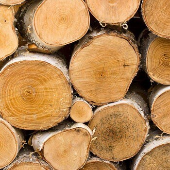 进口加纳木材木制品清关注意哪些细节
