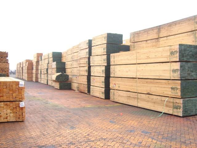 初次进口新加坡木材木制品清关代理