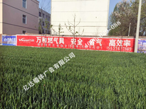 枣庄墙体广告青岛墙体写标语施工推广的双赢之道图片2
