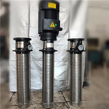 R泵熱水循環泵系單吸單級兩級懸臂式水泵,不銹鋼立式多級離心泵圖片