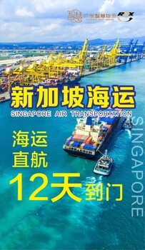 广州发货到新加坡国际货运货物寄新加坡专线