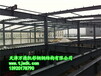 透明工程之—天津钢结构厂房呈现