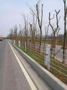 公路纜索護欄廠家