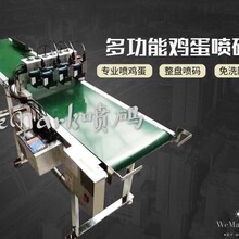 w600智能型蛋托鸡蛋喷码机