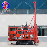 巨匠供应全液压履带钻机XYD300型地质勘察钻机长立轴进尺快图片3