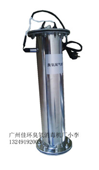 广州佳环臭氧尾气破坏器臭氧尾气处理臭氧毁灭器臭氧处理装置