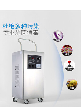 佳環(huán)臭氧發(fā)生器10g工業(yè)食品廠養(yǎng)殖場車間倉庫冷庫殺菌臭氧消毒機(jī)