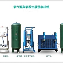 广州佳环电器科技竞博国际200g制氧机臭氧发生器图片
