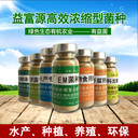 怎么養(yǎng)殖泥鰍