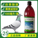 鴿子用益生菌的好處都有那些