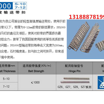 SU1000.狮王皮带扣