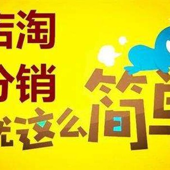 店淘软件+1688分销软件开发定制招商结盟