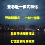 跨境电商产业供应链整合式孵化，易境ERP管理系统，店铺运营技术指导，后续技术服务