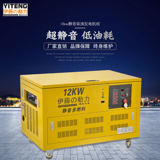 上海伊藤12kw汽油发电机YT12RGF图片1