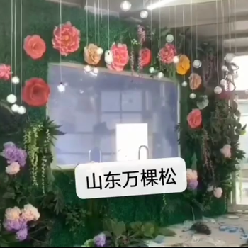 互動感應裝置機械傘燈立式互動感應花機械牡丹花廠家可定制