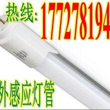 河北t8感应灯管ledt8灯管1.2米led雷达灯管车库感应灯图片
