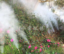园林景观人造雾厂家景观人造雾-重庆水雾环保图片