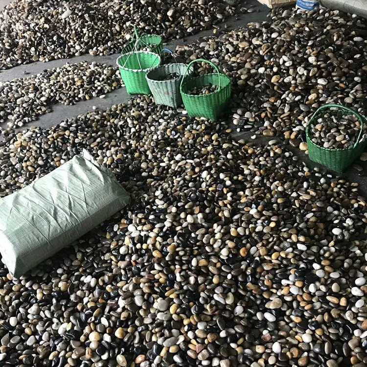 承德園林鋪路鵝卵石黑色機(jī)制雨花石廠家價(jià)格