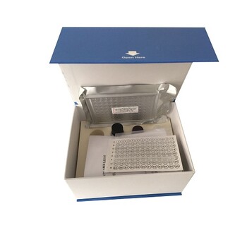 大鼠白介素18（IL-18）ELISA试剂盒免费代测