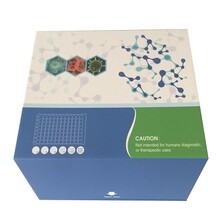 植物β-香樹脂合酶ELISAkit,β-ASELISA檢測試劑盒圖片
