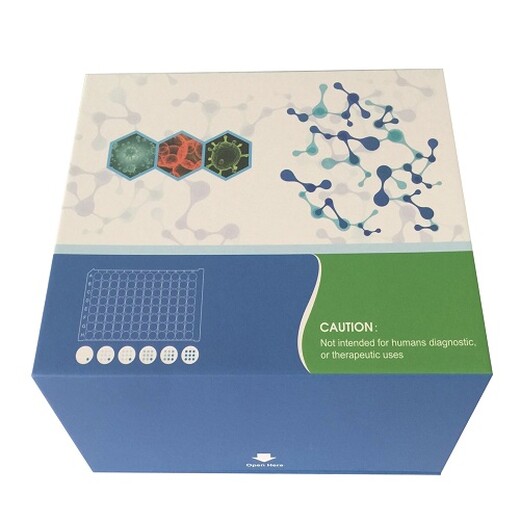 大鼠补体因子H试剂盒,大鼠(CFH)ELISA检测试剂盒