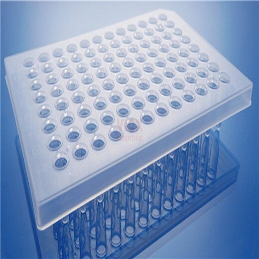384孔无裙边PCR板40ul荧光定量pcr板
