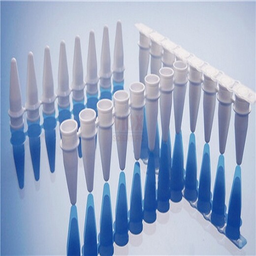 PCR管0.2ml透明12联排PCR管凸盖,超薄壁