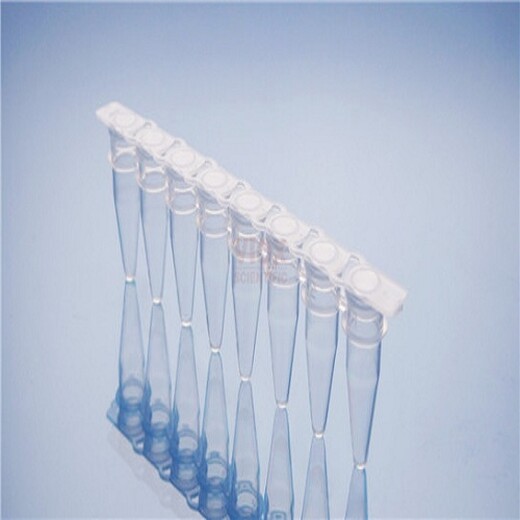 0.1mlPCR八联管乳白配荧光定量PCR光学平盖