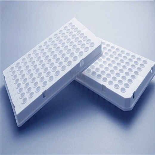 PCR耗材罗氏480PCR96孔板