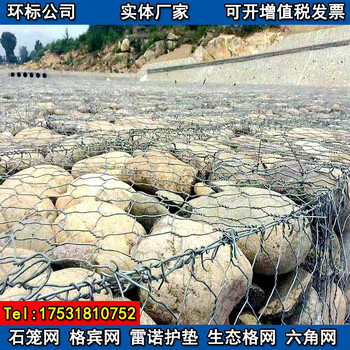 生態(tài)石籠網(wǎng)A生態(tài)石籠網(wǎng)廠家A生態(tài)石籠網(wǎng)詳情A環(huán)標(biāo)絲網(wǎng)