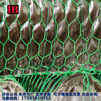 環(huán)標(biāo)河道治理格賓網(wǎng)河道治理格賓網(wǎng)哪家好